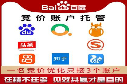 百度竞价托管公司成功案例：打造行业领先品牌